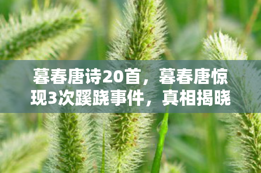 暮春唐诗20首,暮春唐惊现3次蹊跷事件,真相揭晓时,让人后背发凉! 暮春唐诗20首,暮春唐惊现3次蹊跷事件,真相揭晓时,让人后背发凉!