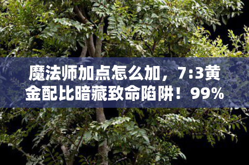 魔法师加点怎么加，7:3黄金配比暗藏致命陷阱！99%玩家至死不知的加点真相