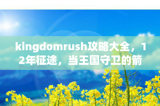kingdomrush攻略大全,12年征途,当王国守卫的箭雨停歇,谁在守护最后的泪目防线? kingdomrush攻略大全,12年征途,当王国守卫的箭雨停歇,谁在守护最后的泪目防线?