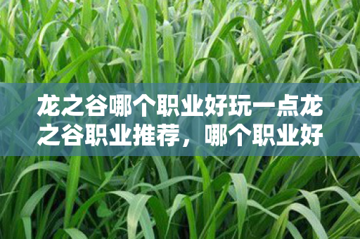 龙之谷哪个职业好玩一点龙之谷职业推荐，哪个职业好玩？龙之谷，哪个职业最适合你？职业推荐与解析