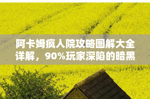 阿卡姆疯人院攻略图解大全详解,90%玩家深陷的暗黑迷局,阿卡姆疯人院里,谁才是真正的疯子? 阿卡姆疯人院攻略图解大全详解,90%玩家深陷的暗黑迷局,阿卡姆疯人院里,谁才是真正的疯子?