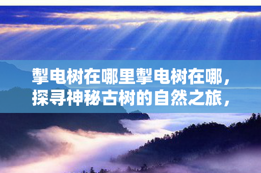 掣电树在哪里掣电树在哪，探寻神秘古树的自然之旅，探寻神秘古树，掣电树的自然之旅
