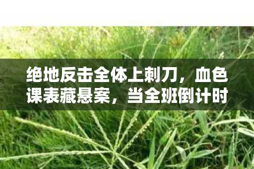 绝地反击全体上刺刀,血色课表藏悬案,当全班倒计时指向我逃不出的毛骨悚然轮回 绝地反击全体上刺刀,血色课表藏悬案,当全班倒计时指向我逃不出的毛骨悚然轮回