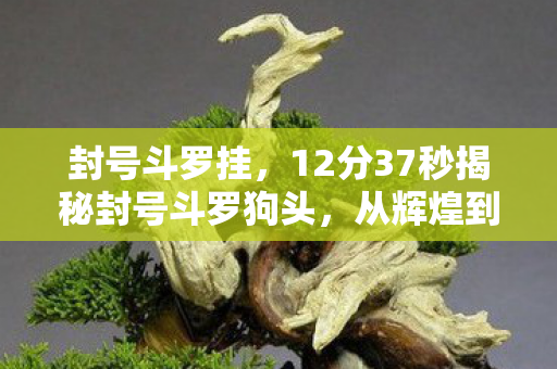 封号斗罗挂,12分37秒揭秘封号斗罗狗头,从辉煌到隐秘的泪目传奇 封号斗罗挂,12分37秒揭秘封号斗罗狗头,从辉煌到隐秘的泪目传奇