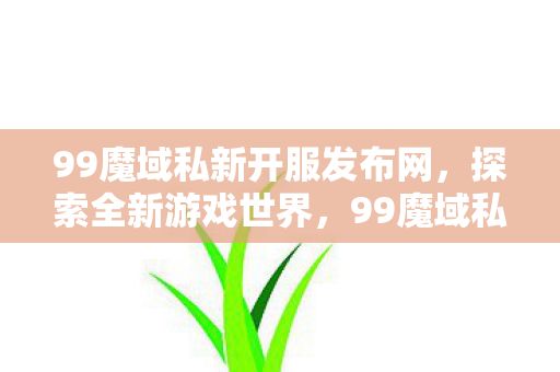 99魔域私新开服发布网图片