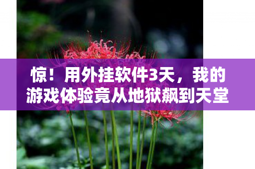 惊!用外挂软件3天,我的游戏体验竟从地狱飙到天堂? 惊!用外挂软件3天,我的游戏体验竟从地狱飙到天堂?
