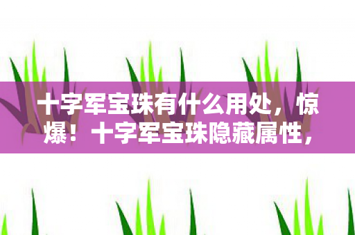 十字军宝珠有什么用处,惊爆!十字军宝珠隐藏属性,99%玩家不知的300%暴击率真相 十字军宝珠有什么用处,惊爆!十字军宝珠隐藏属性,99%玩家不知的300%暴击率真相