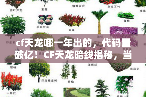 cf天龙哪一年出的，代码量破亿！CF天龙暗线揭秘，当指挥官的头皮发麻时刻