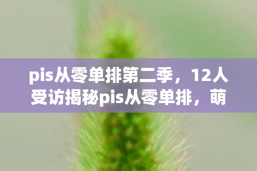 pis从零单排第二季,12人受访揭秘pis从零单排,萌新哭诉大神太狠,退坑佬喊退游,老炮我绷不住了! pis从零单排第二季,12人受访揭秘pis从零单排,萌新哭诉大神太狠,退坑佬喊退游,老炮我绷不住了!