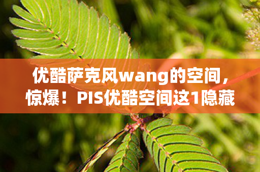优酷萨克风wang的空间，惊爆！PIS优酷空间这1隐藏玩法，99%人不知，错过血亏！