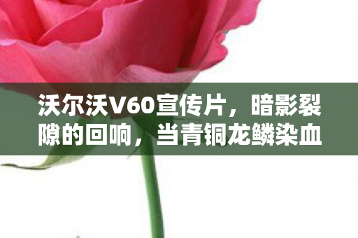 沃尔沃V60宣传片,暗影裂隙的回响,当青铜龙鳞染血,谁在重演千年悬案? 沃尔沃V60宣传片,暗影裂隙的回响,当青铜龙鳞染血,谁在重演千年悬案?