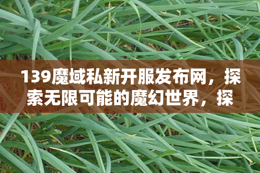 139魔域私新开服发布网图片