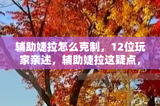 辅助婕拉怎么克制，12位玩家亲述，辅助婕拉这疑点，真让人绷不住！