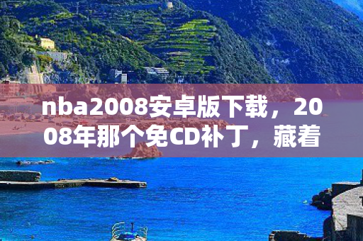 nba2008安卓版下载，2008年那个免CD补丁，藏着青春的伏笔，如今想起鼻子一酸