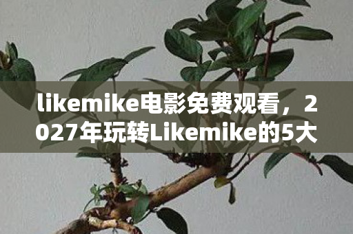 likemike电影免费观看,2027年玩转Likemike的5大心得,新手避坑指南大公开! likemike电影免费观看,2027年玩转Likemike的5大心得,新手避坑指南大公开!