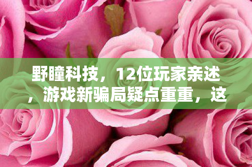 野瞳科技,12位玩家亲述,游戏新骗局疑点重重,这操作谁能绷得住? 野瞳科技,12位玩家亲述,游戏新骗局疑点重重,这操作谁能绷得住?