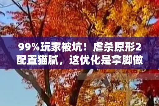99%玩家被坑!虐杀原形2配置猫腻,这优化是拿脚做的? 99%玩家被坑!虐杀原形2配置猫腻,这优化是拿脚做的?