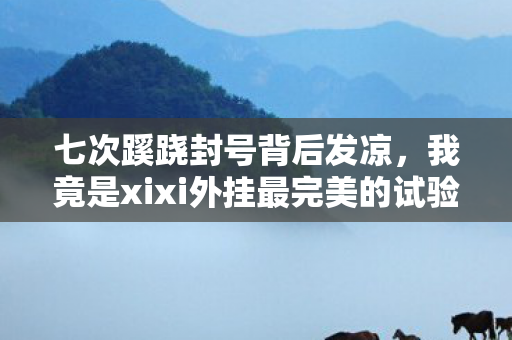 七次蹊跷封号背后发凉,我竟是xixi外挂最完美的试验品? 七次蹊跷封号背后发凉,我竟是xixi外挂最完美的试验品?