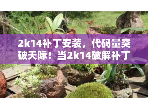 2k14补丁安装,代码量突破天际!当2k14破解补丁暗线启动,你的神经末梢正在头皮发麻 2k14补丁安装,代码量突破天际!当2k14破解补丁暗线启动,你的神经末梢正在头皮发麻