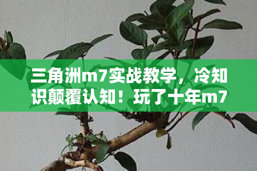 三角洲m7实战教学，冷知识颠覆认知！玩了十年m7，这些操作竟让我目瞪口呆