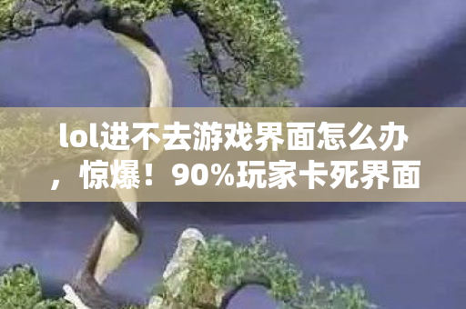 lol进不去游戏界面怎么办，惊爆！90%玩家卡死界面背后，藏着2027年游戏圈最暴利的财富密码