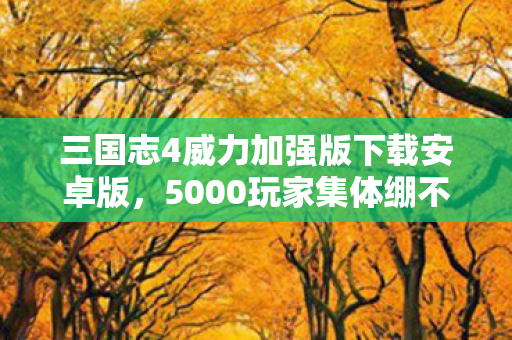 三国志4威力加强版下载安卓版，5000玩家集体绷不住！三国志4威力加强版下载疑云，真香还是真坑？