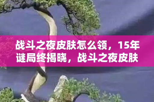 战斗之夜皮肤怎么领,15年谜局终揭晓,战斗之夜皮肤背后的时光密码,泪目! 战斗之夜皮肤怎么领,15年谜局终揭晓,战斗之夜皮肤背后的时光密码,泪目!