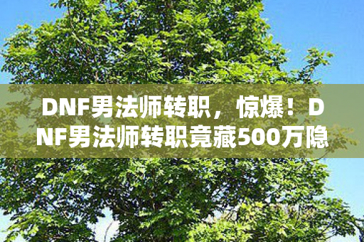 DNF男法师转职,惊爆!DNF男法师转职竟藏500万隐情,策划争吵真相让人吓一跳! DNF男法师转职,惊爆!DNF男法师转职竟藏500万隐情,策划争吵真相让人吓一跳!