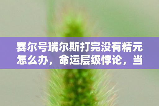 赛尔号瑞尔斯打完没有精元怎么办，命运层级悖论，当瑞尔斯的剑锋斩碎自由选择的幻觉
