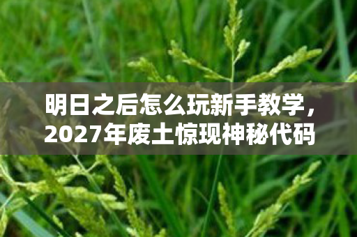 明日之后怎么玩新手教学，2027年废土惊现神秘代码，消失的玩家与永不熄灭的营火之谜