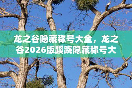 龙之谷隐藏称号大全，龙之谷2026版蹊跷隐藏称号大揭秘！天呐这迭代史太惊人！