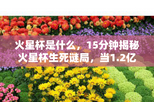 火星杯是什么,15分钟揭秘火星杯生死谜局,当1.2亿玩家泪目时,谁在敲响终局丧钟? 火星杯是什么,15分钟揭秘火星杯生死谜局,当1.2亿玩家泪目时,谁在敲响终局丧钟?