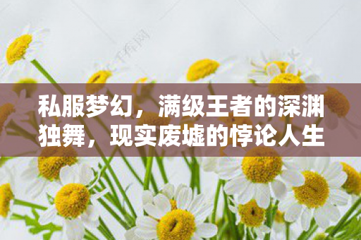私服梦幻,满级王者的深渊独舞,现实废墟的悖论人生 私服梦幻,满级王者的深渊独舞,现实废墟的悖论人生