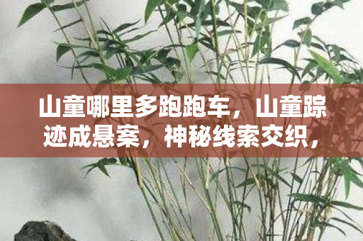 山童哪里多跑跑车,山童踪迹成悬案,神秘线索交织,毛骨悚然真相待揭! 山童哪里多跑跑车,山童踪迹成悬案,神秘线索交织,毛骨悚然真相待揭!
