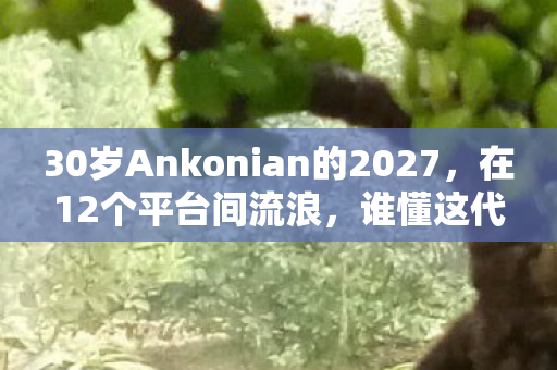 30岁Ankonian的2027,在12个平台间流浪,谁懂这代玩家的心酸? 30岁Ankonian的2027,在12个平台间流浪,谁懂这代玩家的心酸?