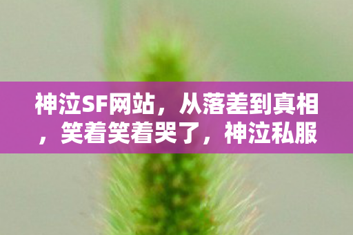神泣SF网站，从落差到真相，笑着笑着哭了，神泣私服里那个没出息的自己