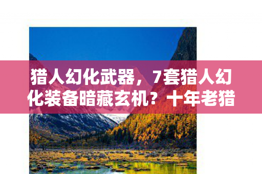 猎人幻化武器，7套猎人幻化装备暗藏玄机？十年老猎人的血泪进化史！