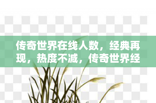 传奇世界在线人数，经典再现，热度不减，传奇世界经典再现，在线人数创新高热度不减