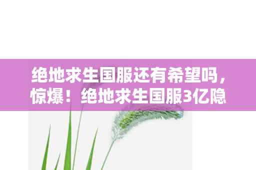 绝地求生国服还有希望吗,惊爆!绝地求生国服3亿隐情曝光,离职老兵掀桌,这操作真让人吓一跳! 绝地求生国服还有希望吗,惊爆!绝地求生国服3亿隐情曝光,离职老兵掀桌,这操作真让人吓一跳!