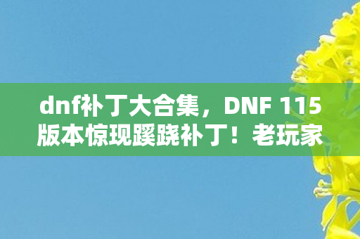 dnf补丁大合集,DNF 115版本惊现蹊跷补丁!老玩家直呼爷青结! dnf补丁大合集,DNF 115版本惊现蹊跷补丁!老玩家直呼爷青结!