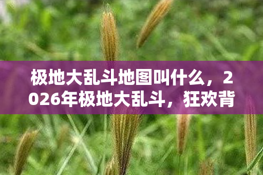 极地大乱斗地图叫什么，2026年极地大乱斗，狂欢背后，谁将揭开终极悬念？