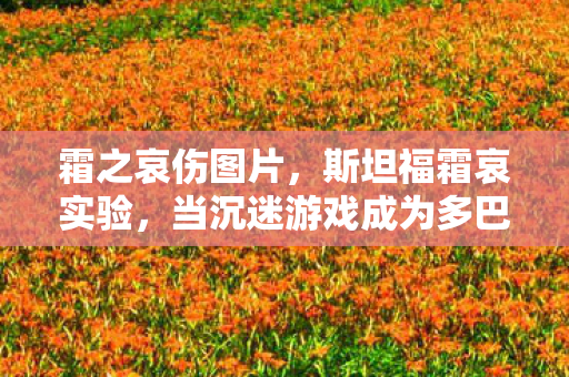 霜之哀伤图片,斯坦福霜哀实验,当沉迷游戏成为多巴胺的细思极恐囚笼 霜之哀伤图片,斯坦福霜哀实验,当沉迷游戏成为多巴胺的细思极恐囚笼
