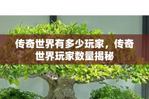 传奇世界有多少玩家，传奇世界玩家数量揭秘