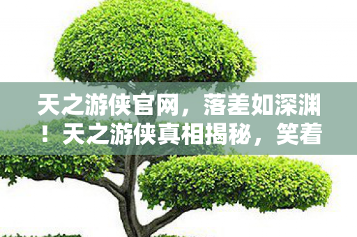 天之游侠官网，落差如深渊！天之游侠真相揭秘，笑着骂完，哭着又登号