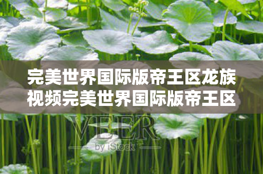 完美世界国际版帝王区龙族视频完美世界国际版帝王区，探索未知世界的奇幻之旅，探索未知世界的奇幻之旅，完美世界国际版帝王区龙族视频