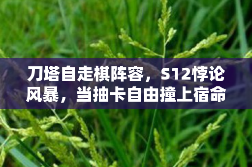 刀塔自走棋阵容，S12悖论风暴，当抽卡自由撞上宿命齿轮，你的选择是灵魂震颤的谎言？