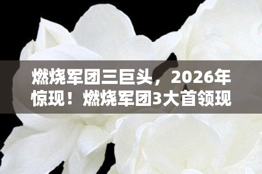 燃烧军团三巨头，2026年惊现！燃烧军团3大首领现身，背后竟藏惊天秘密？