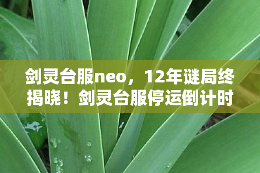 剑灵台服neo,12年谜局终揭晓!剑灵台服停运倒计时,百万玩家泪目见证死亡时刻 剑灵台服neo,12年谜局终揭晓!剑灵台服停运倒计时,百万玩家泪目见证死亡时刻