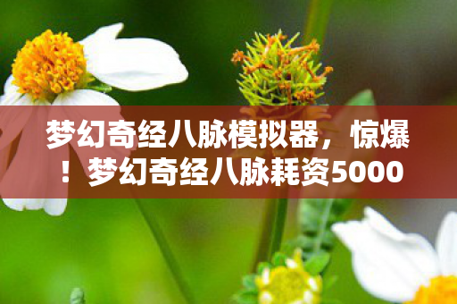 梦幻奇经八脉模拟器，惊爆！梦幻奇经八脉耗资5000万隐情曝光，结果让人吓一跳！