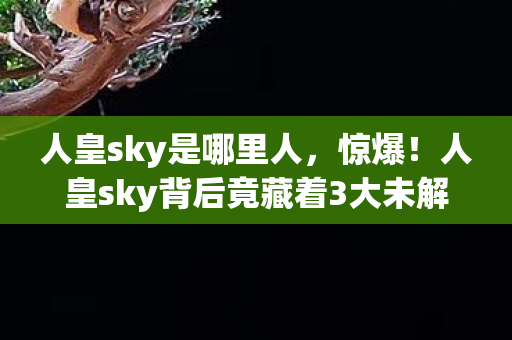 人皇sky是哪里人，惊爆！人皇sky背后竟藏着3大未解之谜，玩家情感大起大落！